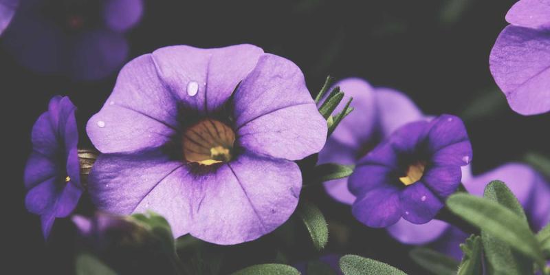 ESG投资策略深度解析：如何将环境、社会与治理因素融入现代财富管理与金融投资组合