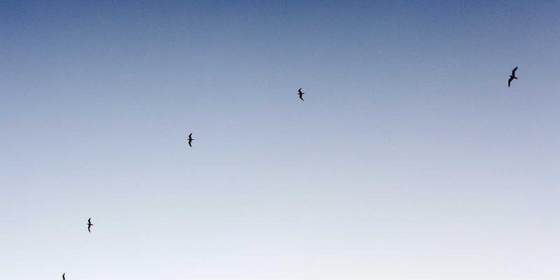 危机阿尔法策略探析：尾部风险对冲基金在极端市场中的配置价值与财富管理新思路