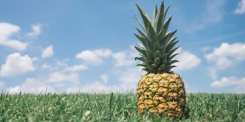 山东金腾：金融投资新视角下的智能资产配置策略