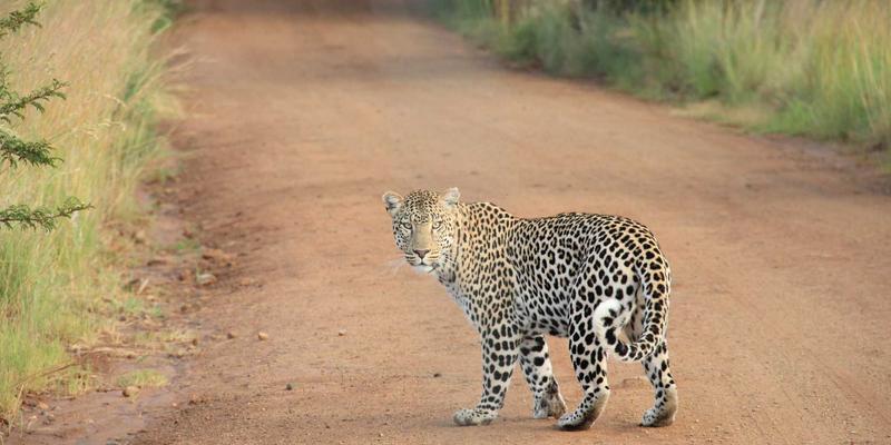 财富管理新挑战：金融投资中的地缘政治风险如何影响资产价格？