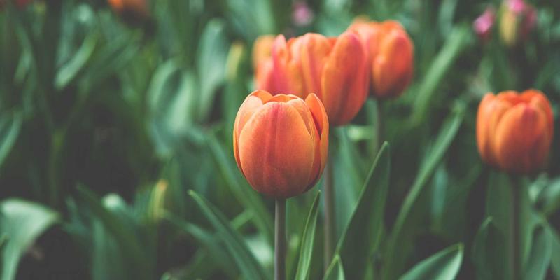 财富管理新选择：深度解析REITs的投资价值与市场前景