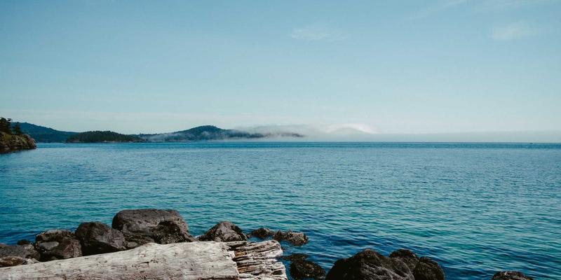 量化投资模型构建基础：因子选股与风险模型在金融投资中的应用