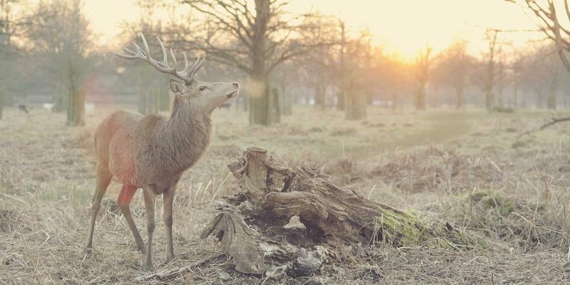金融投资98：财富管理与投资理财新趋势，山东金腾的实践启示