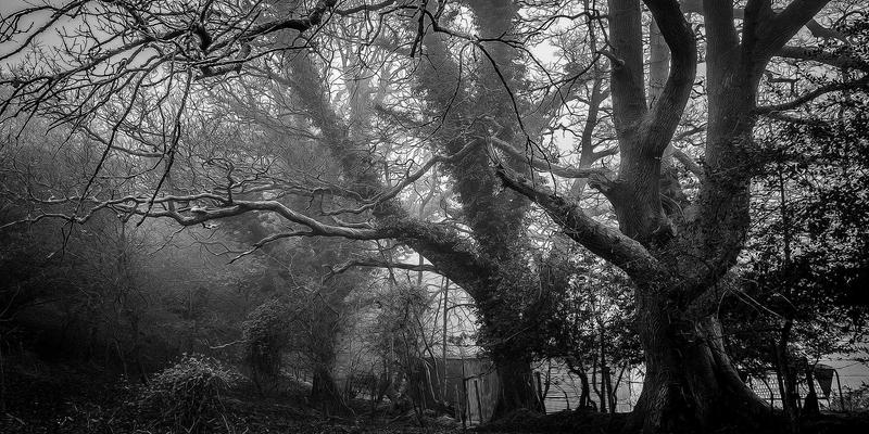 金融投资优势解析：财富管理与资产配置如何成就稳健财富未来——以山东金腾为例