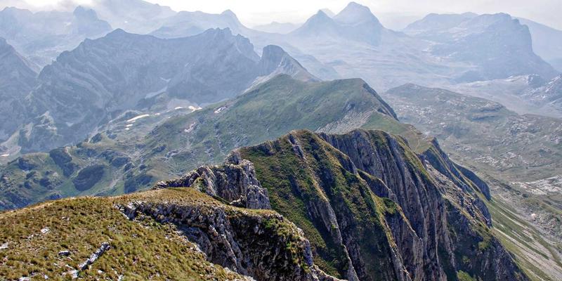 金融投资新视野：科学资产配置与山东金腾的实践启示