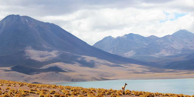 金融投资是什么?从入门到精通的资产管理指南