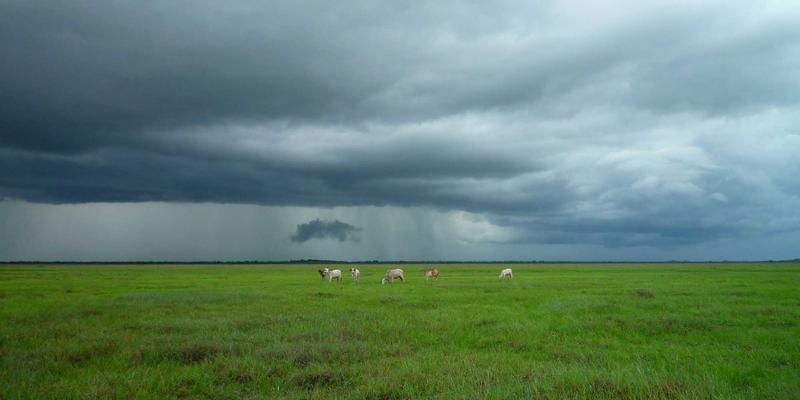 金融科技如何重塑固定收益产品流动性风险预警：资产管理者的新利器