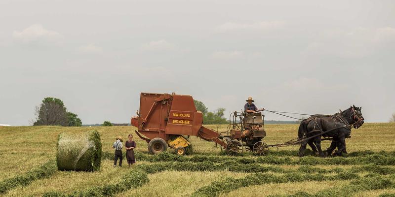 金融科技重塑投资未来：山东金腾引领财富管理与资产数字化新生态